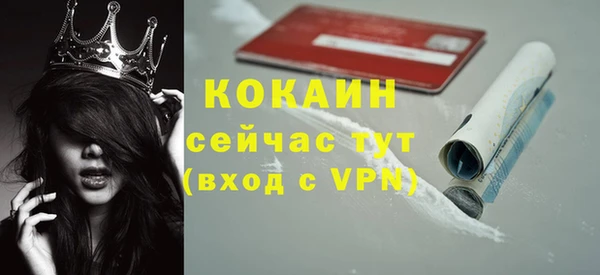 крисы Козловка