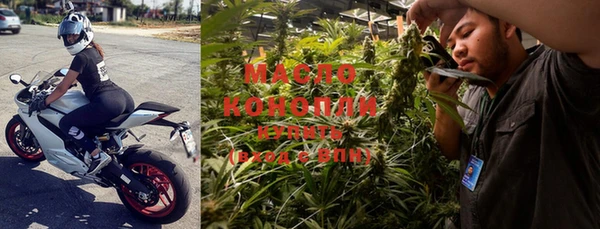 крисы Козловка