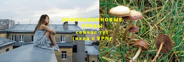 альфа пвп Кодинск