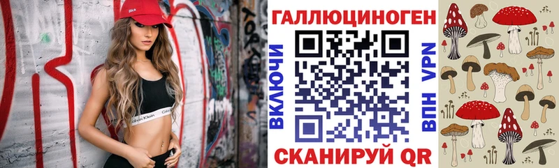 Купить  Верещагино  Галлюциногенные грибы Magic Shrooms 